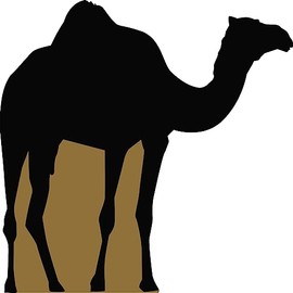 SP12744 Lifesize Arabian Camel 78x78in 1 Hump Desert Animal Silhouette Cardboard Cutout Standup Standee