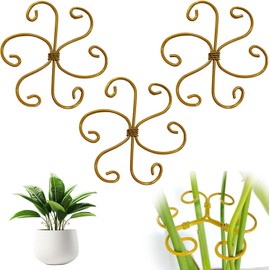 Clips de Plantas, Fijadores de Plantas, Estabilizadores de Plantas para Plantas de Interior, Accesorios de Planta de Interior, Soporte de Plantas, Soportes de Vástago de Plantas (3PC-A)