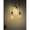 Pallerina 10-Pack Edison Replacement Bulbs ST40 Light Bulbs, 7W 120V