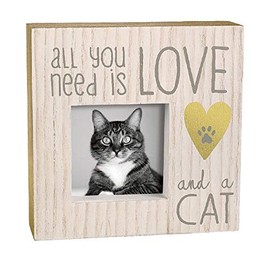 Grasslands Road All You Need is Love and A Cat Frame - Pet Memorial Picture Frame - Cat Memorial Picture Frame, 3 by 3 Inch, MDF, 6 by 6 by 1 3/4 Inches