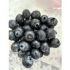 Blueberry Domestic practical immunity food 1000g 1 unit, 1kg / 블루베리 국산 실속형 면역 식품 1000g 1개, 1kg