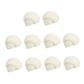 COLLBATH Shell Crafts 10pcs Hermit Crab Shells Natural Conch Decor for Fish Tank Accessories 2-5cm Size