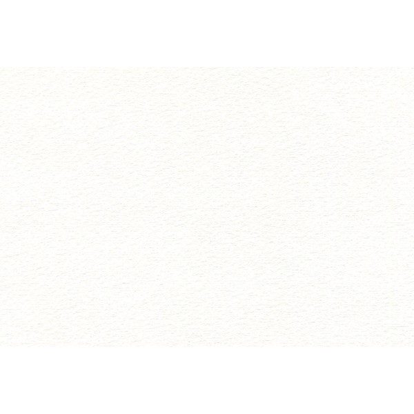 Canson Watercolor Bulk Pack, Lightweight 24.25"x36.25"