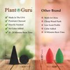 Frankincense and Myrrh Charcoal Incense Cones 1" TOPFLOW - 100