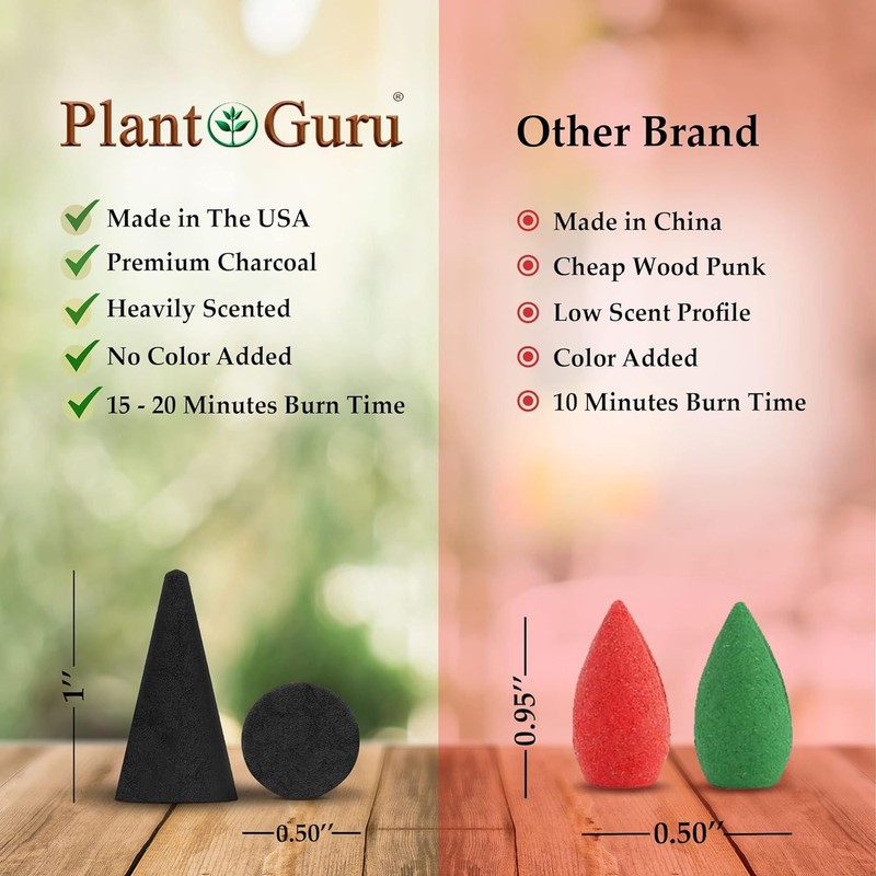 Frankincense and Myrrh Charcoal Incense Cones 1" TOPFLOW - 100