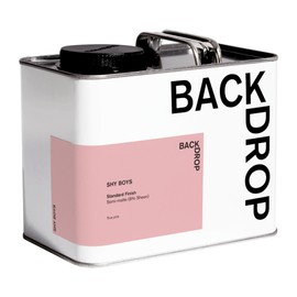 BACKDROP | Premium Interior Paint | Standard Semi Matte, Low Sheen Finish | Self-Priming, Low VOC, Green Wise Certified | SHY BOYS – True pink | 0.5 Gallon