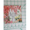 Michel Design Works Two Decorative Cocktail Napkins for Decoupage "In