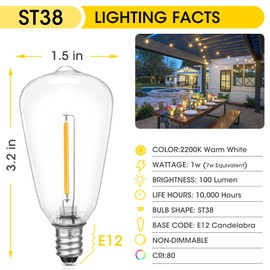 VISTERLITE E12/C7 Base LED Replacement Bulbs for ST38 Outdoor String Lights - Not Solar, Vinatge 1W LED Shatterproof Bulb, Warm White 2200K, 50 Pack