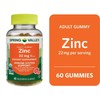 Spring Valley Zinc, zinc Gummies 22mg, Immune System Support, Zinc