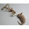 Karlie Sisal Cat Toy Mouse Beige / Brown 64 cm