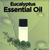 Hollywood Beauty oil, eucalyptus, Green, 2 Fl Oz