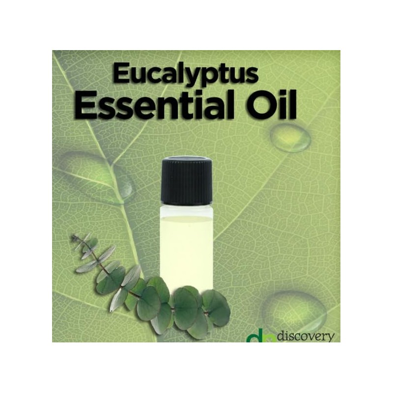 Hollywood Beauty oil, eucalyptus, Green, 2 Fl Oz