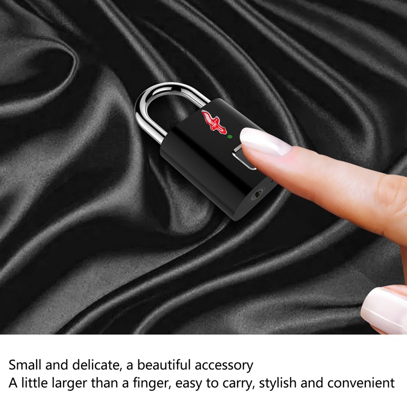 Fingerprint Padlock Biological Recognition Aluminium Alloy USB Rechargeable Support 10