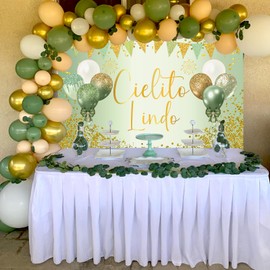 Tintisfafa Sage Green Cielito Lindo Backdrop, Cielito Lindo Party Decoration Cielito Lindo Baby Shower Decorations Banner for Girls Boys, Mexican Talavera Wedding/Birthday Party Backdrop Banner