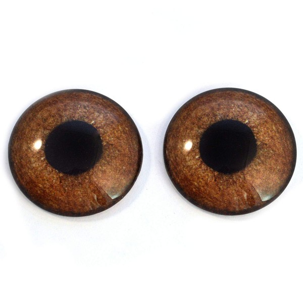 Brown Griffon Bird Glass Eyes Realistic Foul Animal Pair for