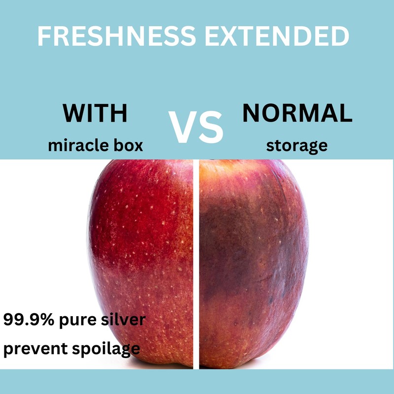 Miras Kitchen Miracle Box Food Container and Spoil Prevention for