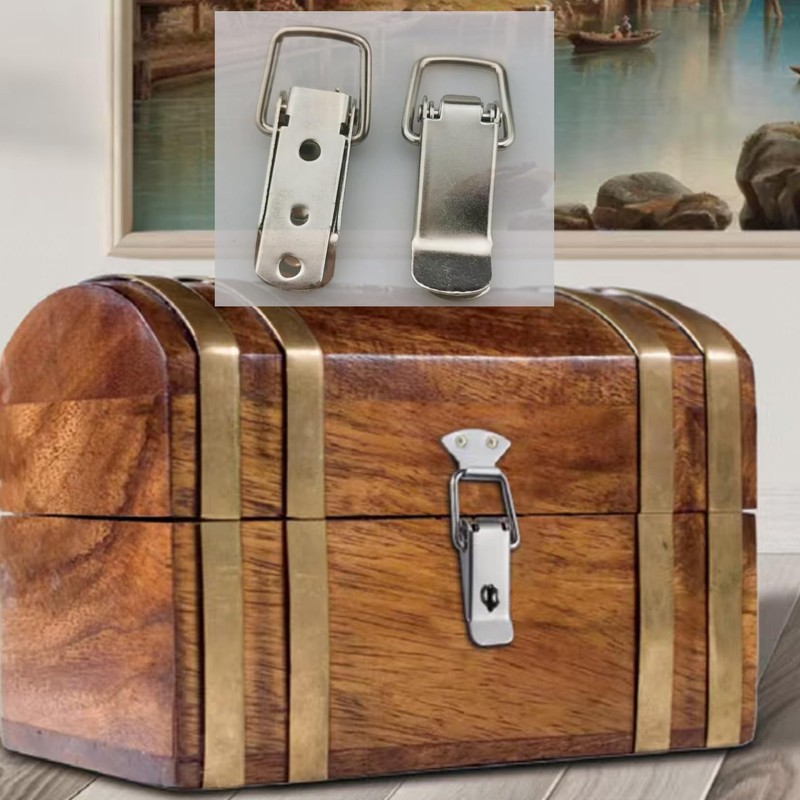 20PCS Stainless Steel Locking Buckle Latches, Toolbox Box Buckle Hasp