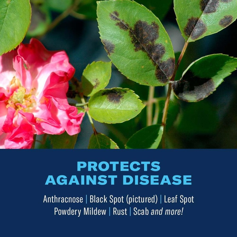 BioAdvanced 3-In-1 Insect, Disease and Mite Control, Fungicide, Ready-to-Use, 24