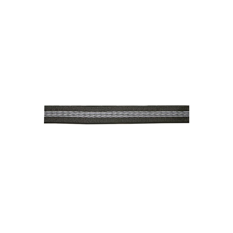 Covalliero Halfter Mustang, Cavezza per Cavalli, Nero/Argento, Poliammide, Full, Taglia