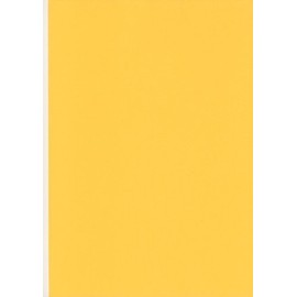 GOLD YELLOW A4 Coloured Craft Card 160gsm x 50 Sheets