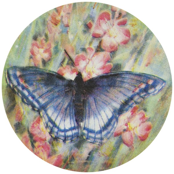 Thirstystone Stoneware Butterfly Garden Coaster, Multicolor