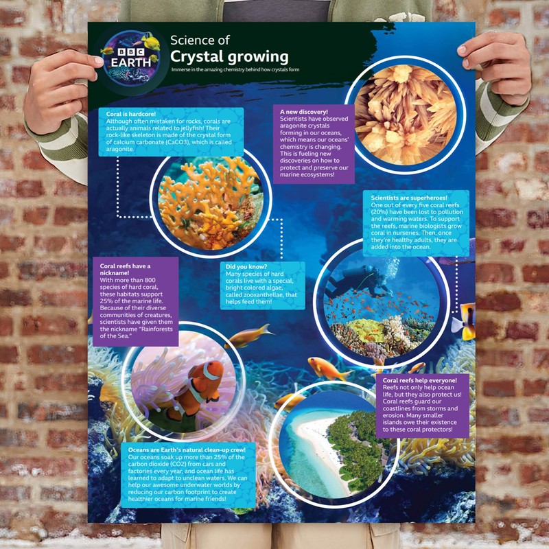 BBC Earth Grow & Discover Crystal Aquarium, Grow Colorful Cave-Like