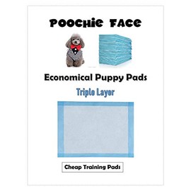 Deluxe Puppy Wee or Pee Training Pad | Disposable Pee Pads for pet or Doggie | 900 Count | 17x24