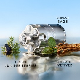 Wanted Eau de Parfum by Azzaro