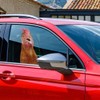 3D Window Car Chicken Crack Sticker,Funny Chicken Car Decals,for Wall