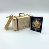 DIY Surprise Mini Suitcase & Mini GOLD effect Passport Reveal