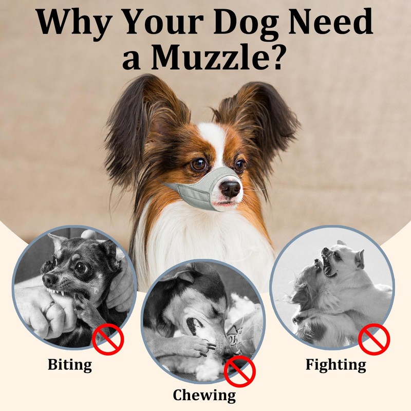 Mayerzon Short Snout Dog Muzzle, Small Muzzle for Chihuahua Shih