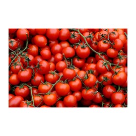 Cherry Tomato Seeds - 250 Seeds - Non-GMO - USA Grown | Premium Tomato Seeds for Gardens, Patios & Hanging Baskets