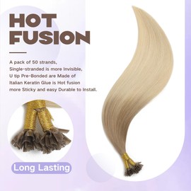 Sindra Pre Bonded U Tip Extensions Human Hair Light Ash Brown Fading to Platinum Blonde Remy Hair 14 Inch U Tip Hair Extensions Hot Fusion Keratin Hair Extensions 0.8g/strand 40grams (U860-14)