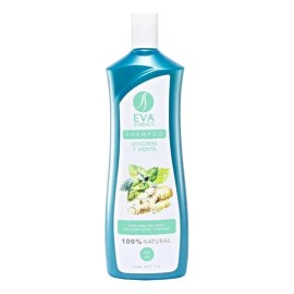 Shampoo Eva Essence Jengibre Y Menta 1l Limpieza Profunda