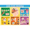 EuroGraphics Five Senses Jigsaw Puzzle (200-Piece)