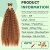 XIIMENALU Kinky Straight Wavy Braiding Hair for Boho Braids Wet
