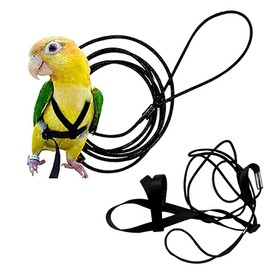 Anelekor Adjustable Birds Harness and Leash Parrot Harness Leash Training Supplies Pet Anti-bite Outdoor Flying Rope for Conures Budgerigar Lovebird Cockatiel Mynah (M, Black)