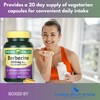 Spring Valley Berberine 1200mg- 40 Vegetarian Capsules (Pack of 1),