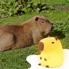 YuanDian Capybara Night Light - Adorable Silicone Lamp for Kids,