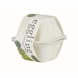 Seishin Pottery EG-4804 Egg Ring, Eco Friendly, Cactus, White