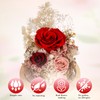 Loveliome Foever Love Preserved Rose Flowers Fresh Bouquet in Glass