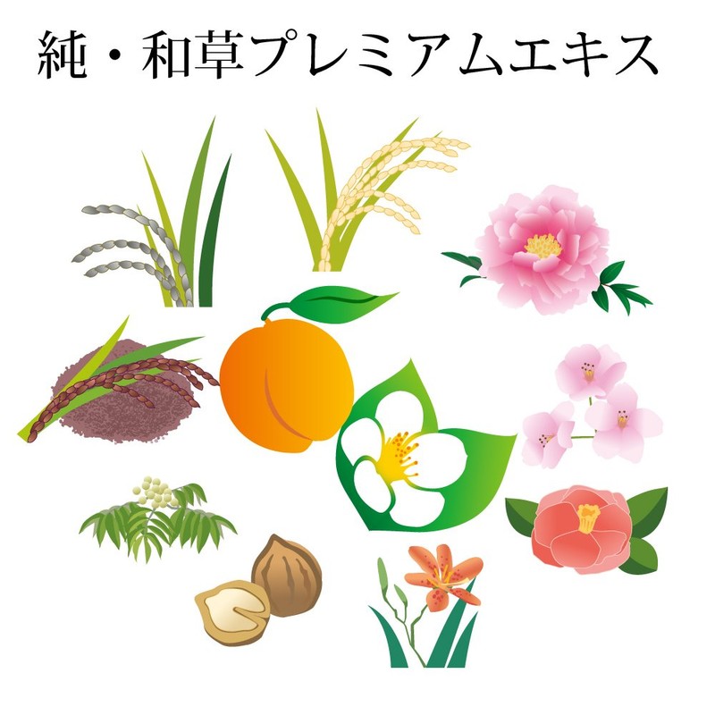 いち髪 濃密W保湿ケア コンディショナー 詰替用 340g