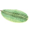 Leaf shaped Floor Mat Entrance Non slip Door Mat for