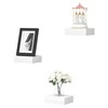 WOLTU Set of 3 Wall Shelves, Gallery Display, Floating Shelf,