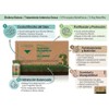 Salerm Tratamiento Capilar Intensivo en Ampolletas, Frmula Avanzada, Alta Calidad