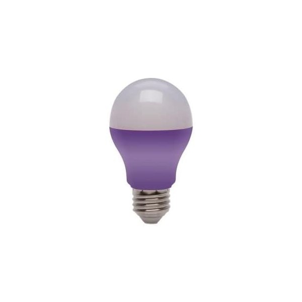 Purple LED Light Bulb by EcoSmart - 25W Equivalent GP19