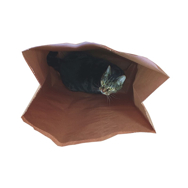 Catnip Attack Bags by Cat FurNature