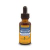 Herb Pharm Certified Organic Skullcap Liquid Extract for Nervous System