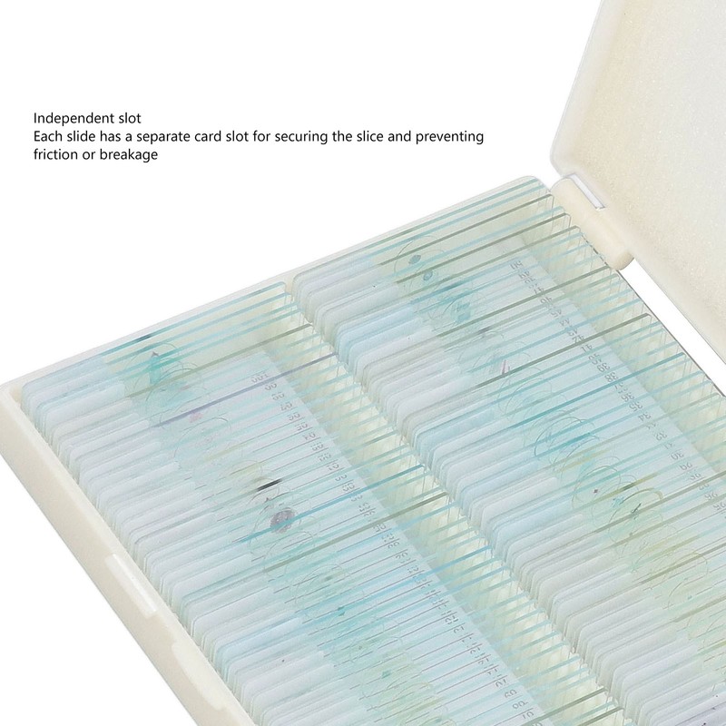 100pcs Microscope Slides Rounded Edge Plants Blank Microscope Slides for