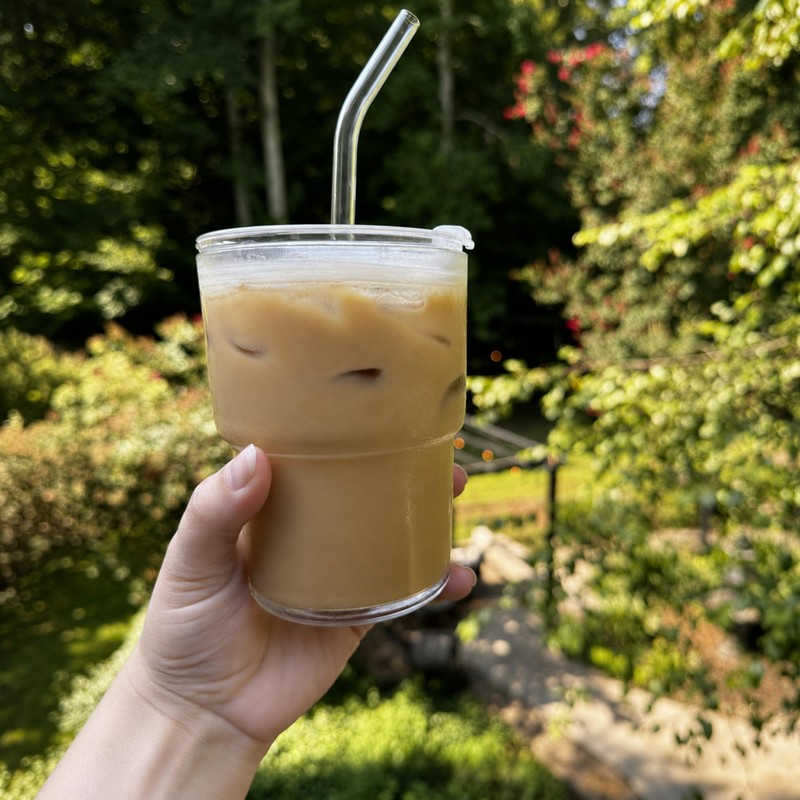 13oz Iced Coffee Cup, Glass Tumbler with Straw and Lid,